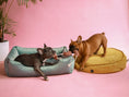 Load image into Gallery viewer, Pet Toy - Long Sausages - Southlake Paws

