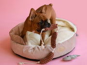 Pet Toy - Long Sausages