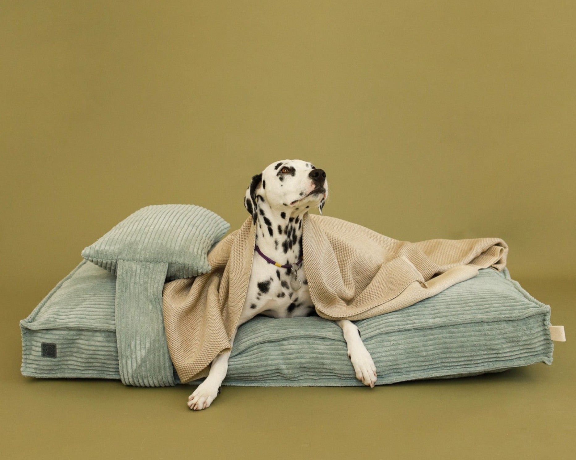 Memory Foam Dog Bed - Southlake Paws