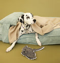 Load image into Gallery viewer, Memory Foam Dog Bed - Southlake Paws
