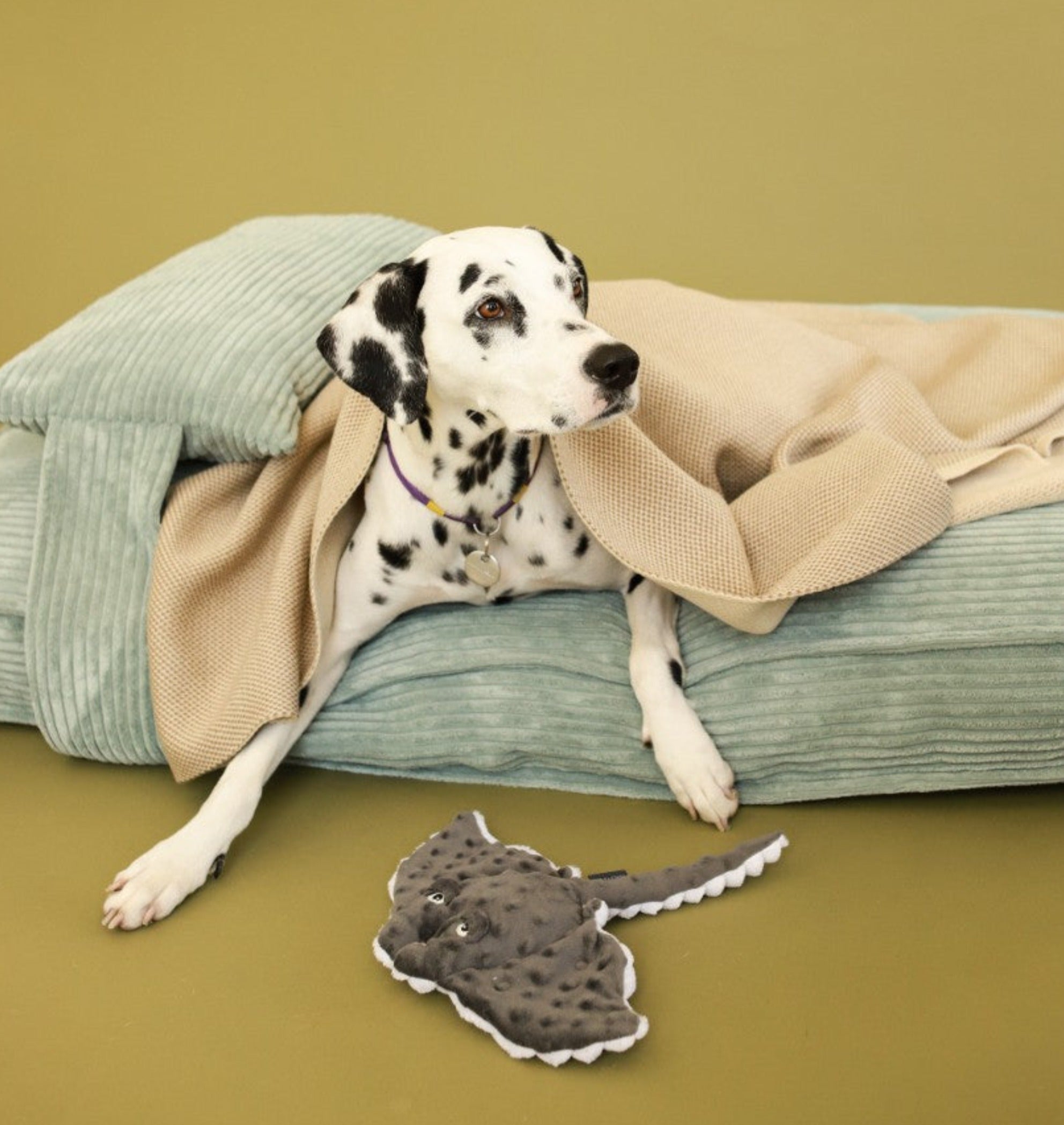 Memory Foam Dog Bed - Southlake Paws
