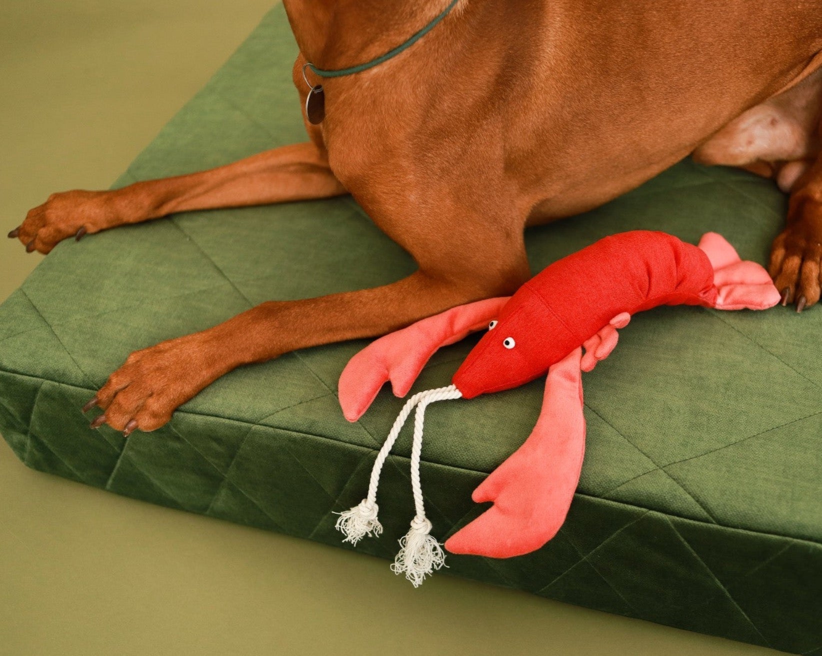Pet Toy - Lobster Sebastian - Southlake Paws