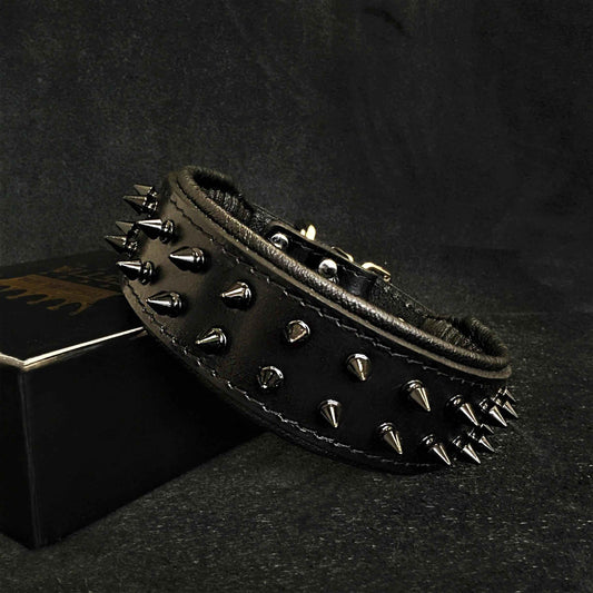 BLACK "Frenchie" collar
