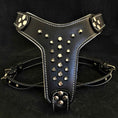 Load image into Gallery viewer, The "Rocky" studded leather harness Small to Medium Size
