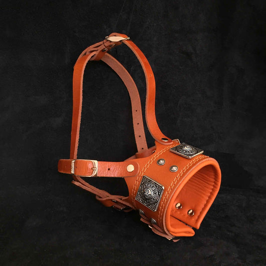 The "Eros" muzzle brown by Bestia Dog Gear
