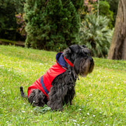 Bespoke Dog Raincoat Red/Blue Terry Cotton