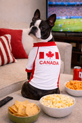 Load image into Gallery viewer, Parisian Pet 'Team Canada' Jersey for Dogs & Cats – Canada Flag-Inspired Pet Outfit, Soccer Fan Apparel for Dogs & Cats, Red and White Design
