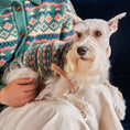 Load image into Gallery viewer, Nooee Pet Jacquard Wool Sweater

