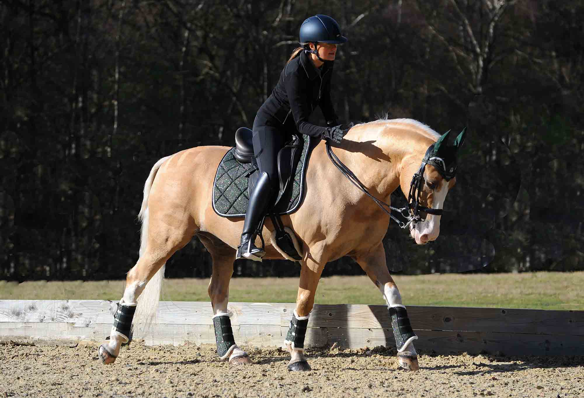 Jade Green Saddle Pad by Southlake Paws on a horse, rider in black attire, outdoor riding arena setting.