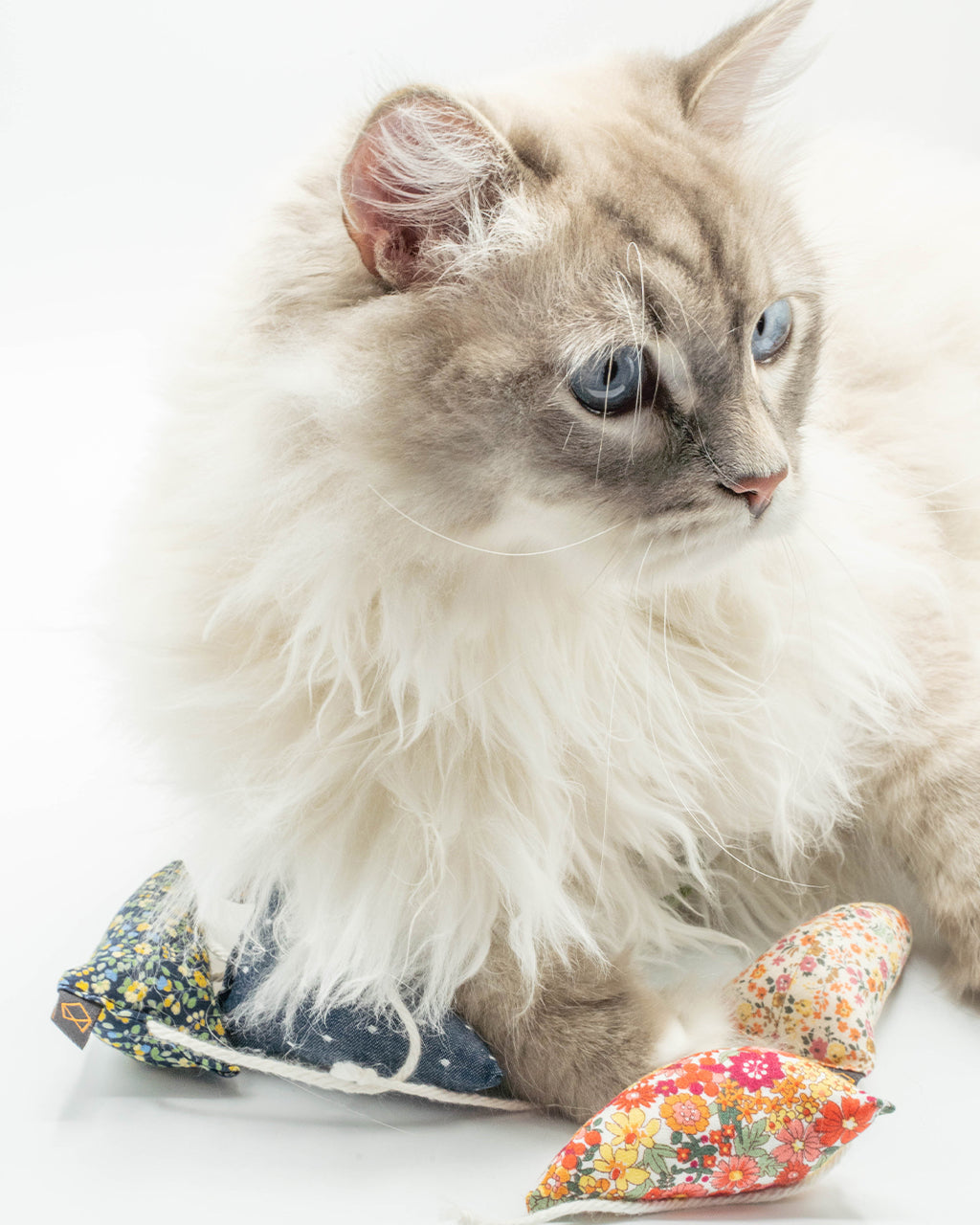 MODERN MOUSE - FLORAL - Southlake Paws
