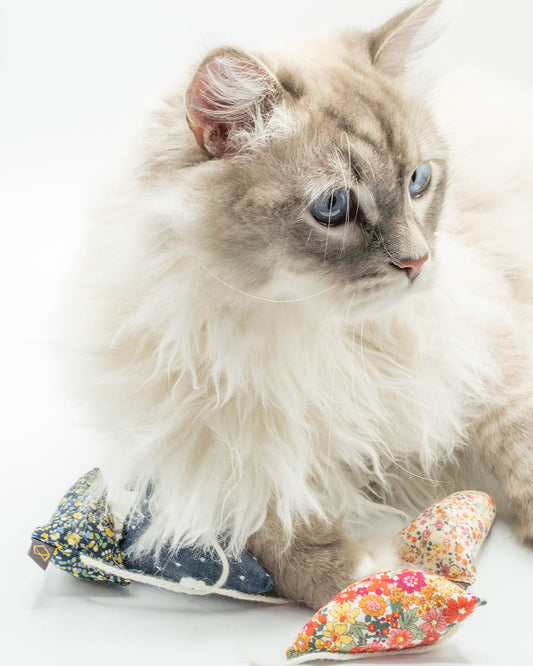 MODERN MOUSE - FLORAL - Southlake Paws