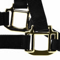 Load image into Gallery viewer, Jeffers Adjustable Halter with Throat Snap
