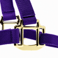 Load image into Gallery viewer, Jeffers Adjustable Halter with Throat Snap
