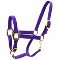 Load image into Gallery viewer, Jeffers Adjustable Halter with Throat Snap
