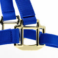 Load image into Gallery viewer, Jeffers Adjustable Halter with Throat Snap
