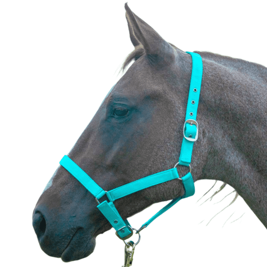 Jeffers Adjustable Nylon Full Size Horse Halter