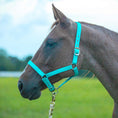 Load image into Gallery viewer, Jeffers Adjustable Nylon Full Size Horse Halter
