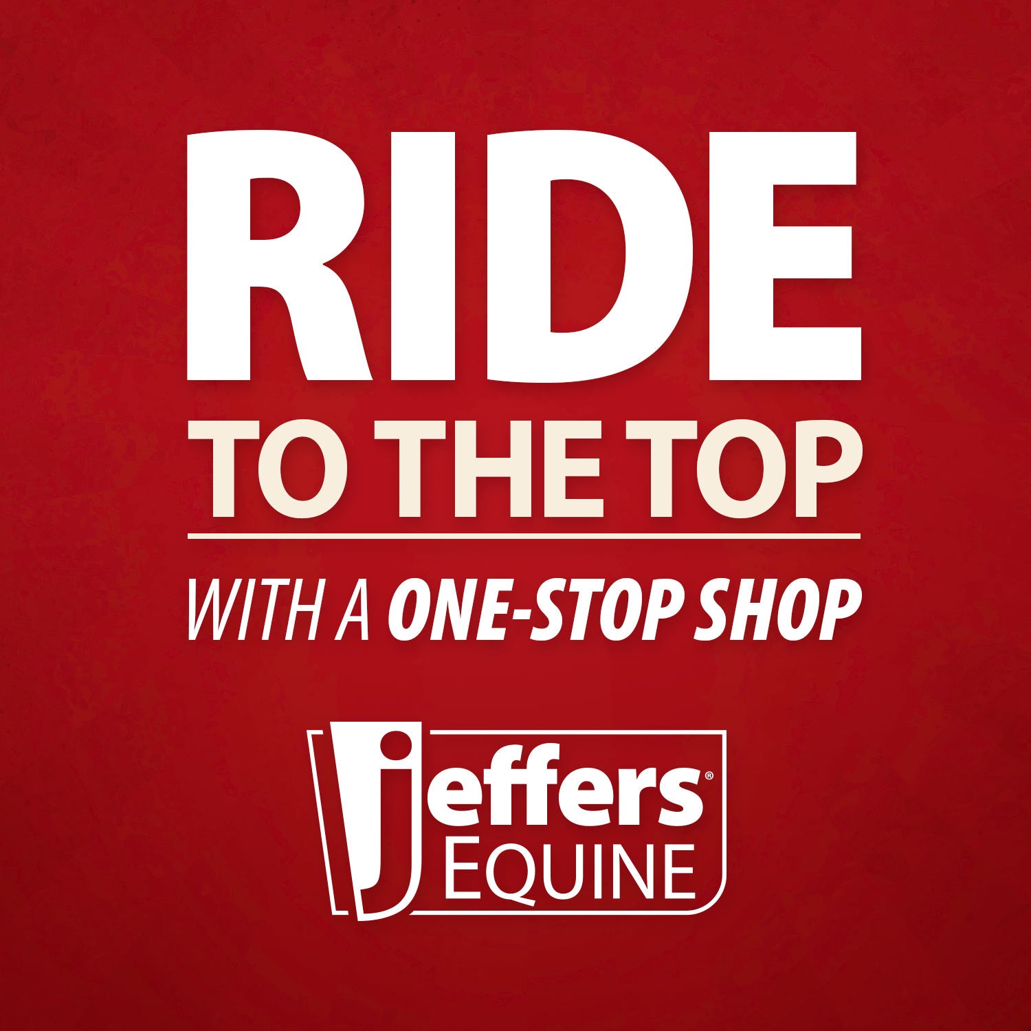 Jeffers Expression 1200 Denier Standard Neck Turnout Horse Blanket, 240 Gram