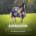 Load image into Gallery viewer, Jeffers Expression 1200 Denier Standard Neck Turnout Horse Blanket, 240 Gram
