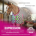 Load image into Gallery viewer, Jeffers Expression 1200 Denier Standard Neck Turnout Horse Blanket, 240 Gram

