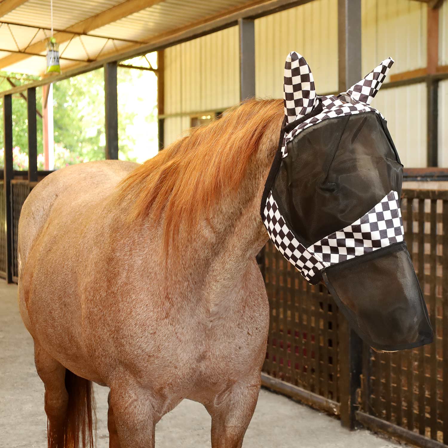 Jeffers Expression Deluxe Mesh Horse Fly Mask with Ears and Nose on a horse, featuring a black and white checkered design.