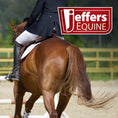 Load image into Gallery viewer, Jeffers Padded Nylon Horse Halter with Throat Snap
