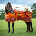 Load image into Gallery viewer, Jeffers Expression Standard Neck Fleece Horse Cooler
