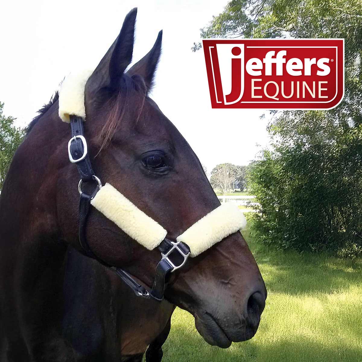 Jeffers Horse Fleece Halter Tube, 4 Piece Comfort Set