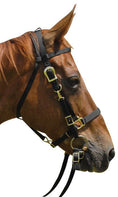 Load image into Gallery viewer, Jeffers Nylon Combination Horse Halter Bridle with Reins
