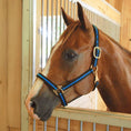 Load image into Gallery viewer, Jeffers Padded Nylon Horse Halter with Throat Snap
