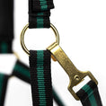 Load image into Gallery viewer, Jeffers Padded Nylon Horse Halter with Throat Snap
