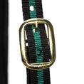 Load image into Gallery viewer, Jeffers Padded Nylon Horse Halter with Throat Snap
