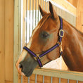 Load image into Gallery viewer, Jeffers Padded Nylon Horse Halter with Throat Snap
