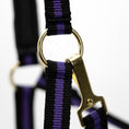 Load image into Gallery viewer, Jeffers Padded Nylon Horse Halter with Throat Snap
