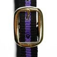 Load image into Gallery viewer, Jeffers Padded Nylon Horse Halter with Throat Snap
