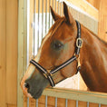 Load image into Gallery viewer, Jeffers Padded Nylon Horse Halter with Throat Snap
