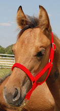 Load image into Gallery viewer, Jeffers Nylon Foal & Pony Halter
