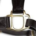 Load image into Gallery viewer, Jeffers Softie Padded Leather Halter for Horses
