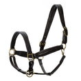 Load image into Gallery viewer, Jeffers Softie Padded Leather Halter for Horses
