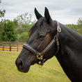 Load image into Gallery viewer, Jeffers Softie Padded Leather Halter for Horses
