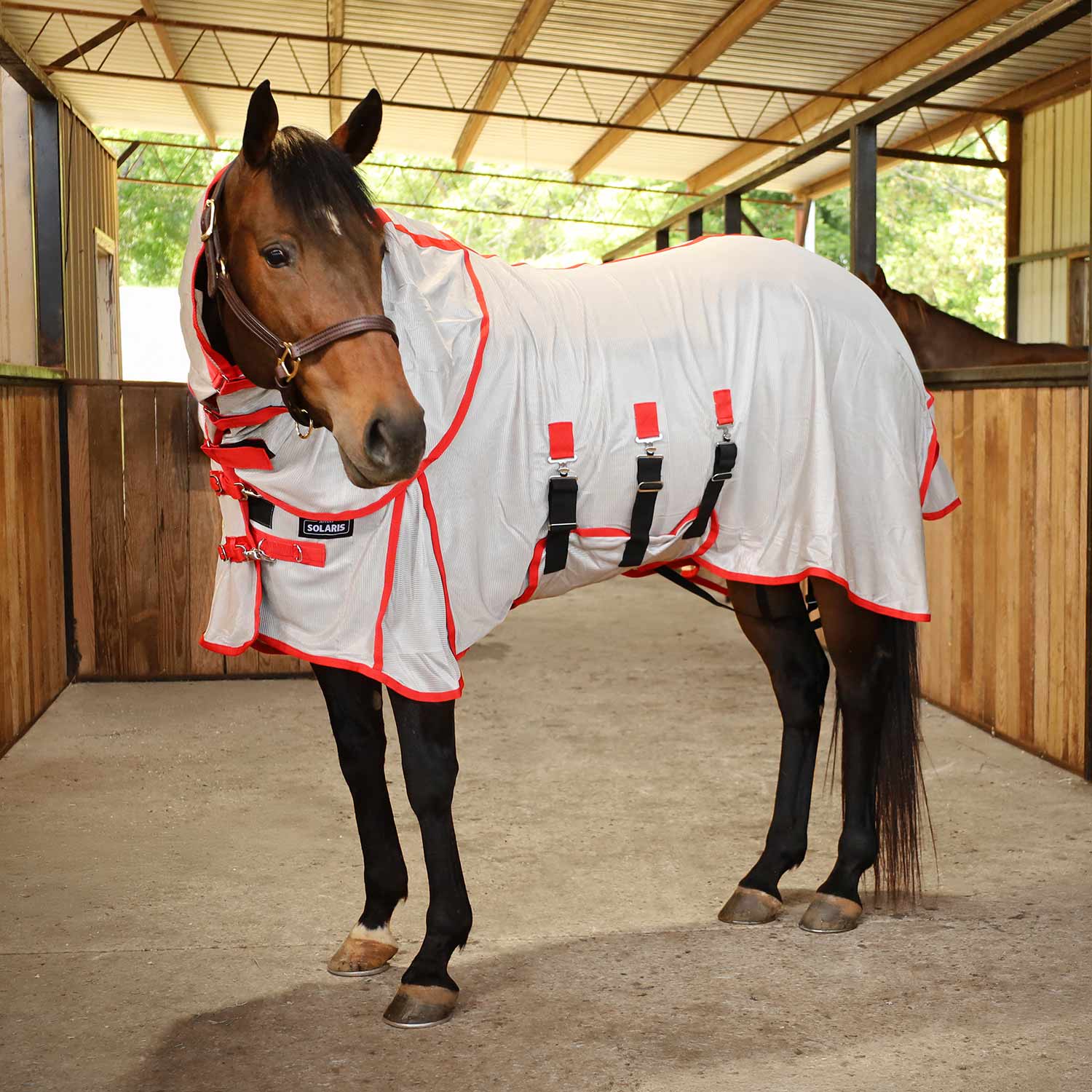Southlake Paws Jeffers Solaris Horse Fly Sheet with detachable neck in grey and red, fitted on a horse in a stable.