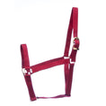 Load image into Gallery viewer, Jeffers Turnout Nylon Horse Halters, 2-Ply, 1"
