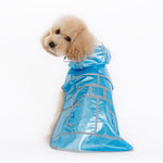 Jelly Raincoat