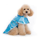 Jelly Raincoat