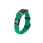 Dog Collar Kit.