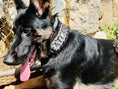 Load image into Gallery viewer, The "Kennel" collar- personalized!
