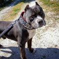 Load image into Gallery viewer, The "Kennel" collar- personalized!
