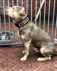 Load image into Gallery viewer, The "Kennel" collar- personalized!
