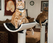 SPHP-2 Luxury Cat Perch