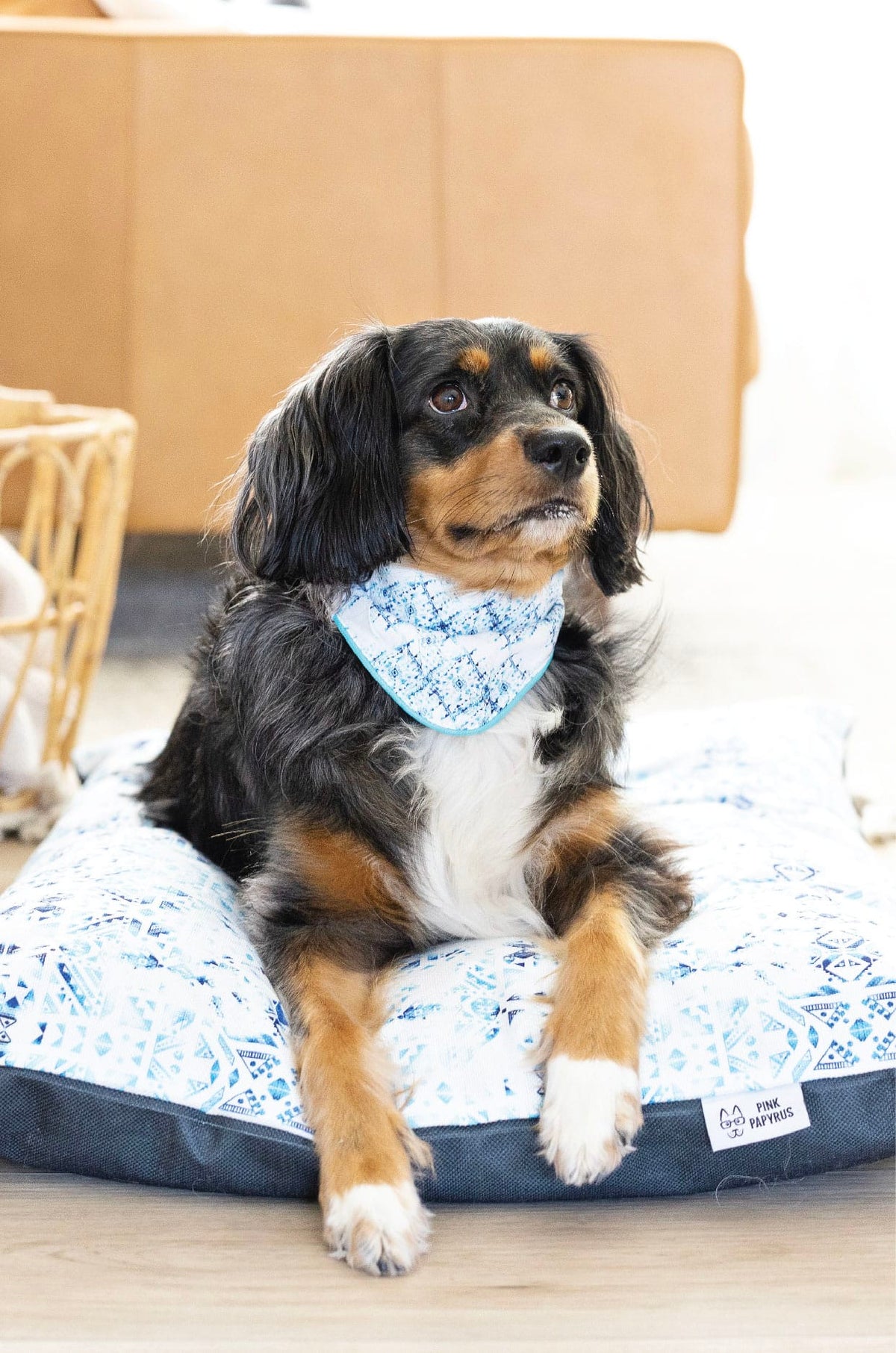 Koa Dog Bed